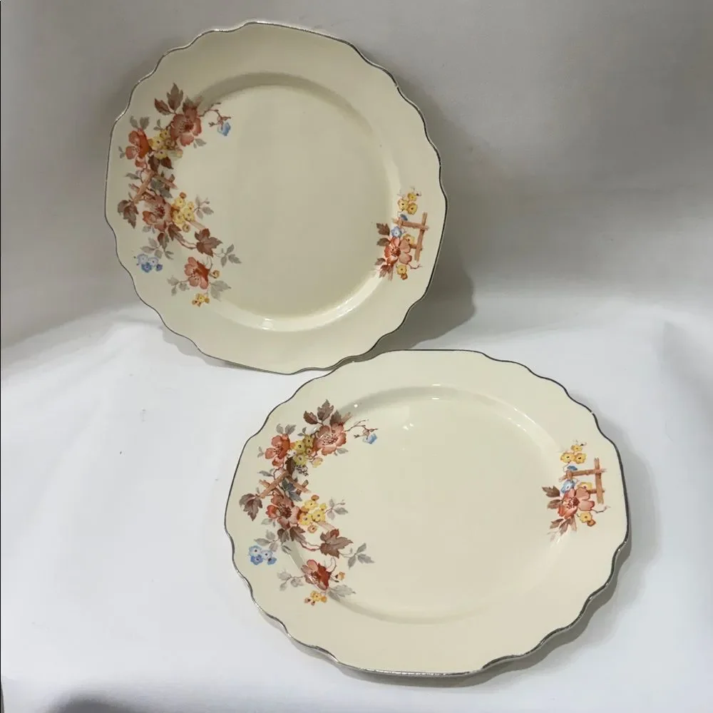 Lido WS George Canarytone Vintage Floral 9 1/2 Inch Dinner Plates Set 2 Made USA